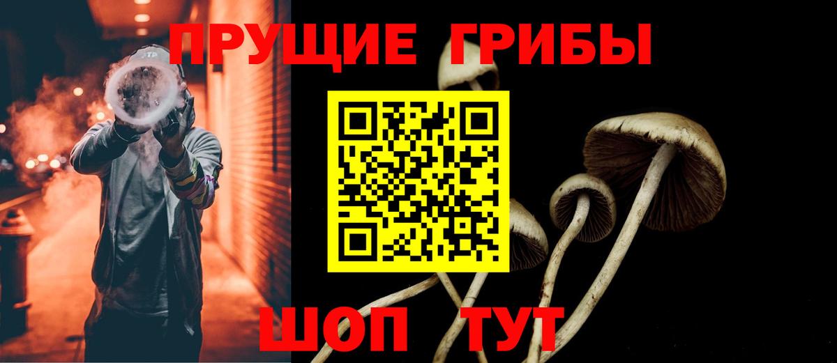 Псилоцибиновые грибы GOLDEN TEACHER Зима