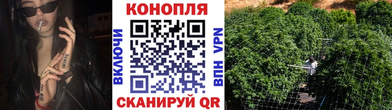 купить наркоту  Зима  Шишки марихуана Amnesia 