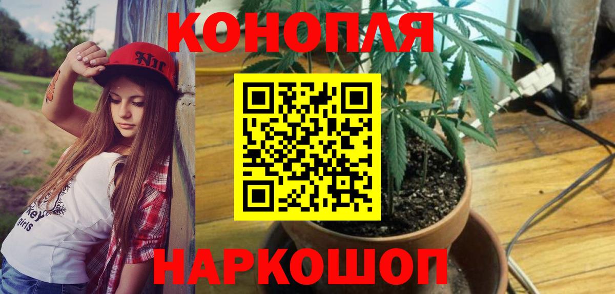 Канабис конопля Зима